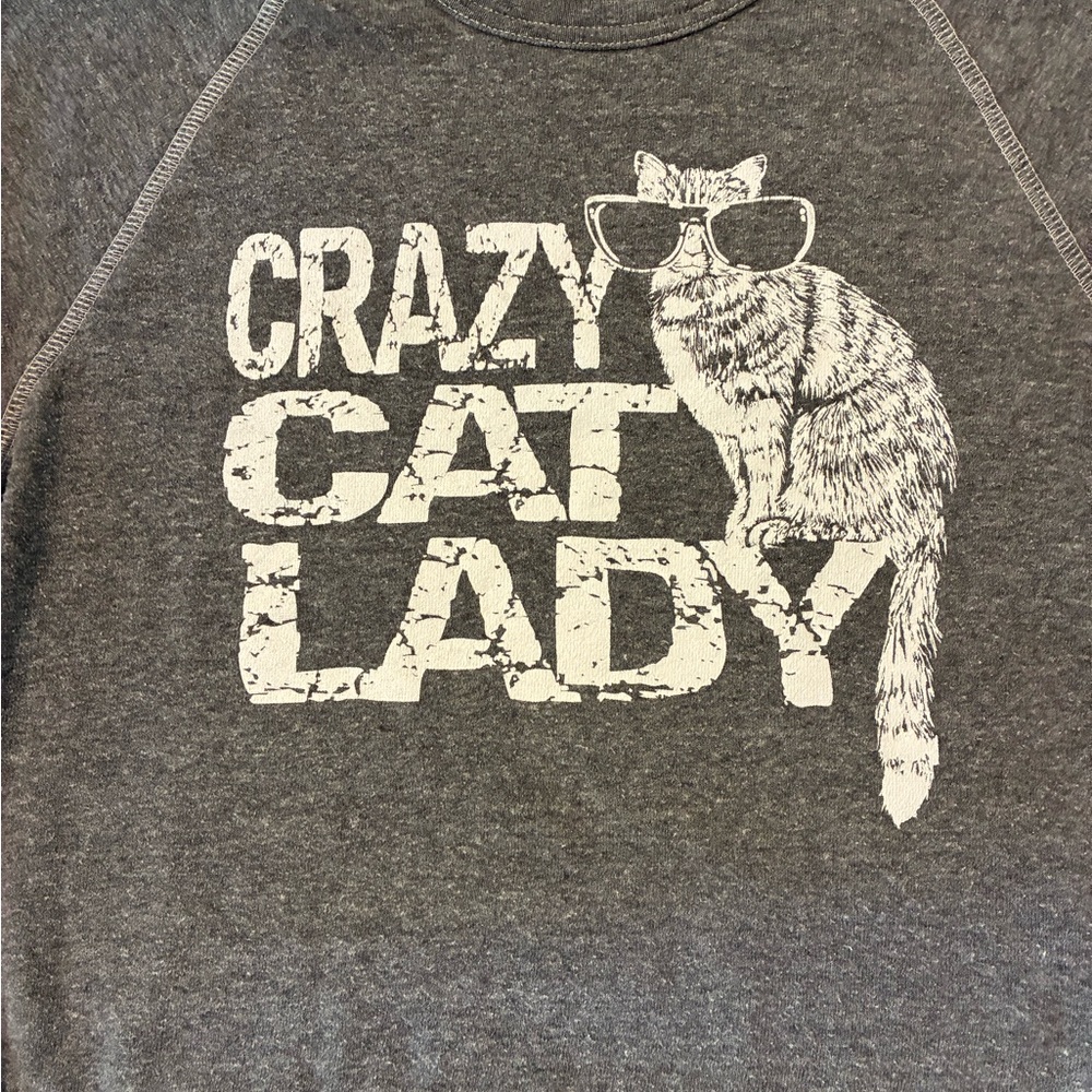 Gray Crazy Cat Lady Sweatshirt - Picture 3 of 6
